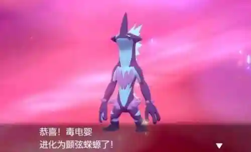 剑盾雨天队最强阵容搭配(剑盾一周目阵容推荐)插图4