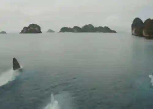 深海巨兽阵容最新搭配图片(深海王阵容平民搭配)插图7