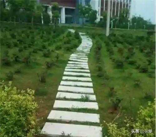俄罗斯2060年归不归还库页岛(库页岛回归中国的时间)插图30