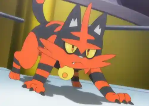 五尾打猫阵容搭配(泳装井野打猫阵容)插图5