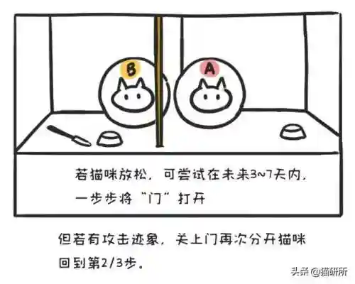 猫咪打架厉害的阵容搭配(一刀传世打架厉害的职业搭配)插图10