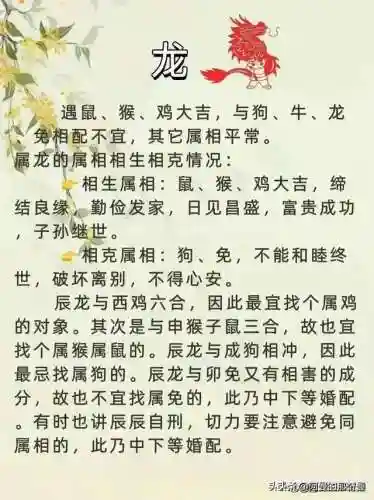 时空猎人3雷兔阵容搭配(时空猎人3最强角色)插图2 时空猎人3雷兔阵容搭配(时空猎人3最强角色)插图2