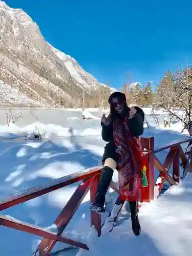 冰梦倩影怎么搭配阵容最强(冰队最强阵容)插图10