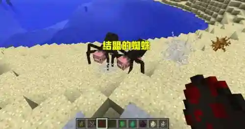 我的世界蜘蛛阵容怎么搭配(我的世界蜘蛛模组下载)插图1