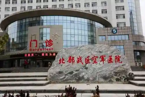 前线作战团队阵容搭配图(交错战线最强阵容推荐)插图1