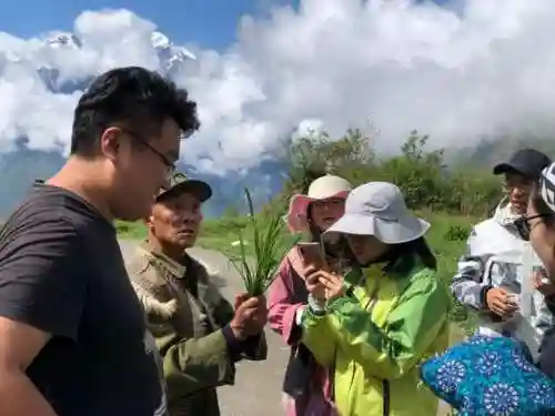 守家驻防武将搭配阵容图(王者荣耀守家阵容)插图3