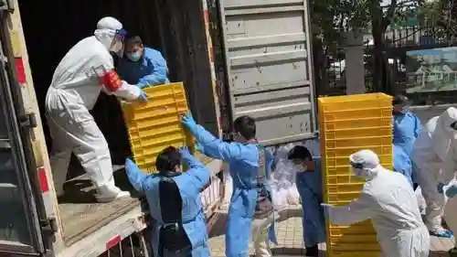 园丁阵容怎么搭配最强战士(孙尚香t0阵容搭配)插图5