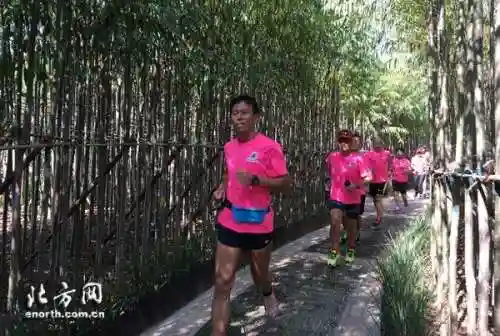 爱跑团最强阵容搭配(奇缘之旅t0阵容)