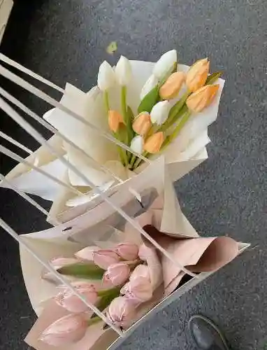花语大全50种花的花语(蓝色桔梗花一般送给谁)插图2