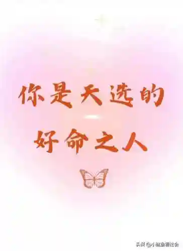 天选之人推荐阵容搭配(天选福星最强阵容推荐)