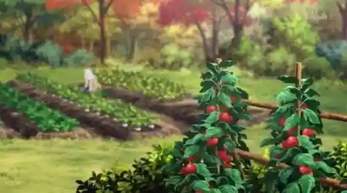 刀剑神域桐人被绿是哪几(刀剑神域爱丽丝篇是第几卷)