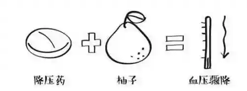 食物语片儿川阵容搭配(食物语片儿川值得培养吗)插图3