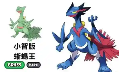 进化羁绊小智阵容搭配推荐(宝可梦小智历代阵容)插图1