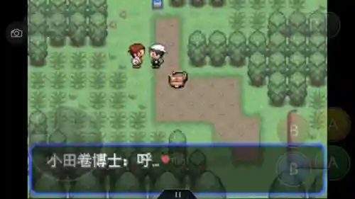 神奇宝贝究极绿宝石攻略(神奇宝贝第一部免费)插图93