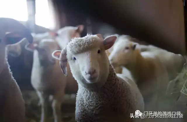 小汽车游戏大全(汽车自由驾驶游戏)插图4