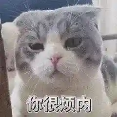 网上特别火的那个猫表情包(猫咪摇头表情包动图)插图13 网上特别火的那个猫表情包(猫咪摇头表情包动图)插图13