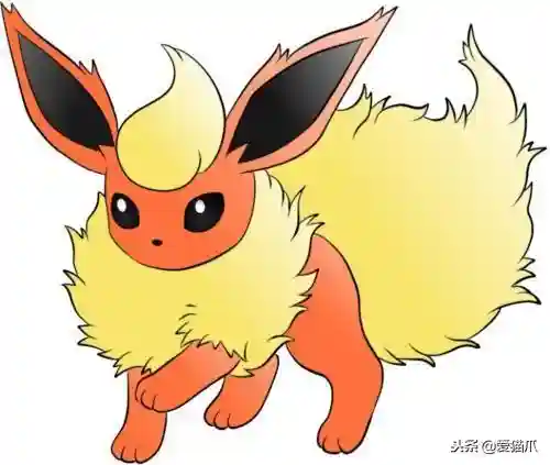 伊布家族的100种进化(伊布的八种进化条件)插图3