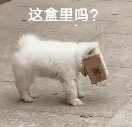 搞笑动态表情包(搞笑GIF图片)插图27
