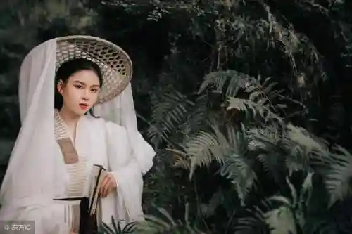 笑傲江湖歌词沧海一声笑(笑傲江湖 主题曲 歌词)插图1