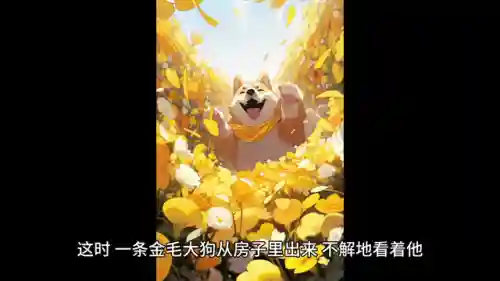 次元修炼阵容搭配攻略(光之圣境放置次元阵容推荐)插图2