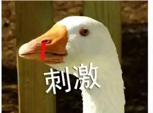 六代布狄卡阵容搭配(六怪兽阵容搭配)插图6