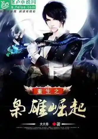 重生之崛起2010(重生2008我全都要)插图3