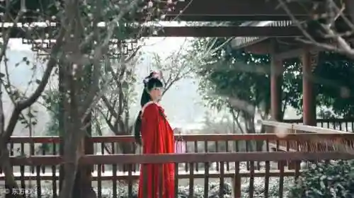 手游取名字大全好听(手游名称简短好听)