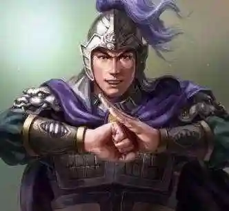 姜维伐魏阵容推荐搭配(姜维是魏国哪个郡的太守)插图4