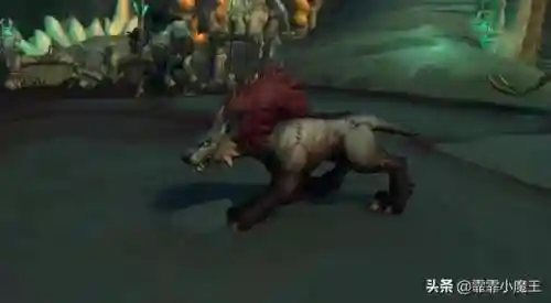 魔兽世界宠物推荐(wow70猎人必抓五只宠物)插图8