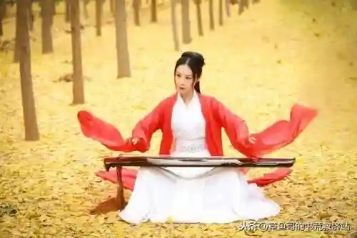 从神雕起剑扫诸天(从射雕开始选择)插图2