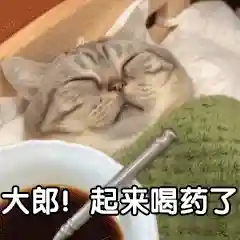 搞笑动态表情包(搞笑GIF图片)插图10