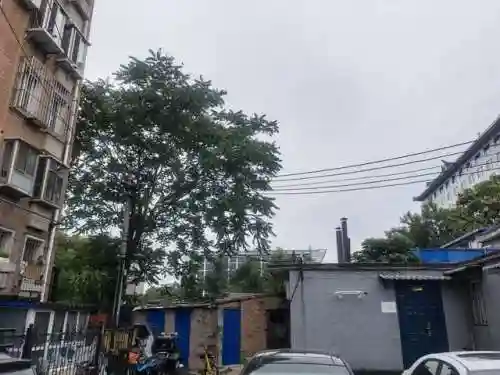 食物语胡同访古阵容搭配(食物语平民推图最强阵容)插图15