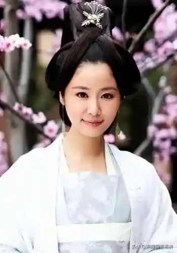 倾世皇妃阵容搭配图(盛世芳华之凤倾天下阵容)