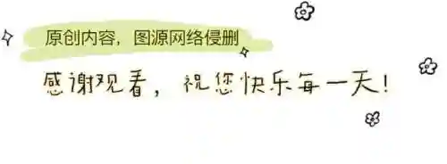 陆贞传奇搭配阵容推荐图片(陆贞传奇演员表全部名单)插图14