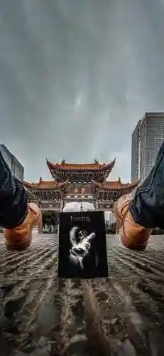 手机背景壁纸(2024手机桌面壁纸)插图12