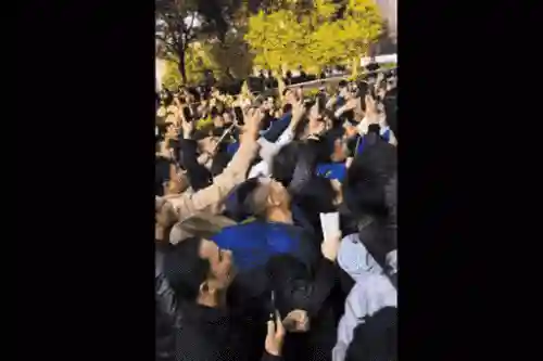 流浪大师搭配阵容图片大全(切菜狂人最强阵容图)插图4