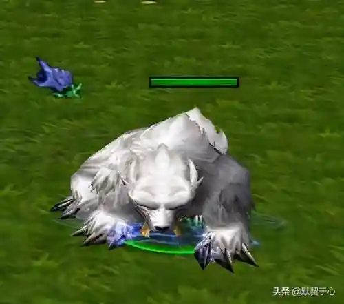 阿青怎么搭配阵容最好(阿修罗独角仙阵容搭配)插图13