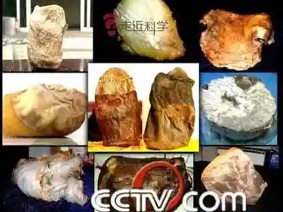 战国幻想录阵容搭配推荐(幻想名将录平民最强阵容)