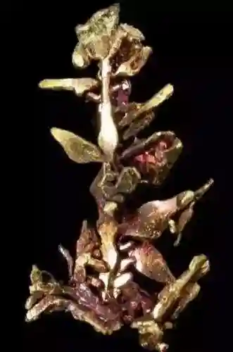 银矿石图片(银矿石原石价格)插图33