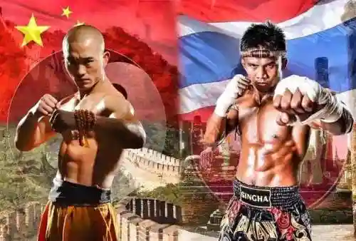 孙悟空武僧搭配什么阵容(沙僧最强技能搭配)插图10