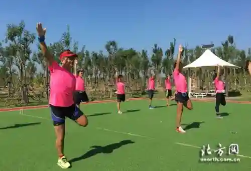 爱跑团最强阵容搭配(奇缘之旅t0阵容)插图1