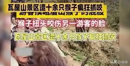 王者荣耀猴子冲突阵容搭配(王者荣耀猴子怎么出装伤害最高)插图3 王者荣耀猴子冲突阵容搭配(王者荣耀猴子怎么出装伤害最高)插图3