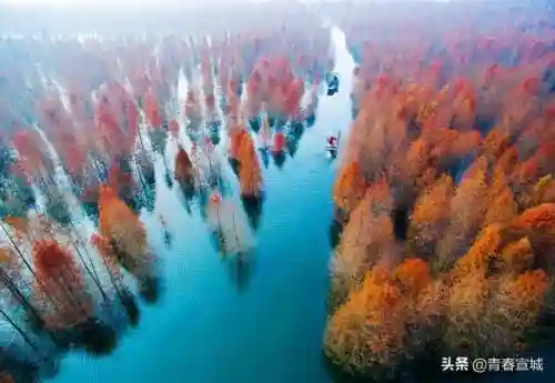 文明与征服宣城阵容搭配(文明与征服平民最强阵容第一名)插图61
