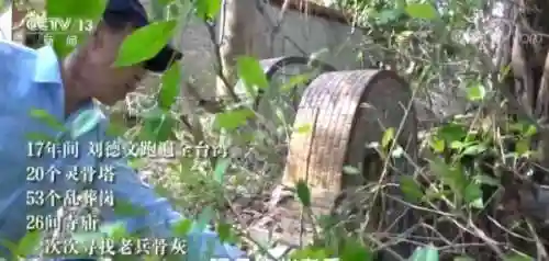 老兵先祖搭配阵容图片高清(光遇踏步先祖兑换图)插图5