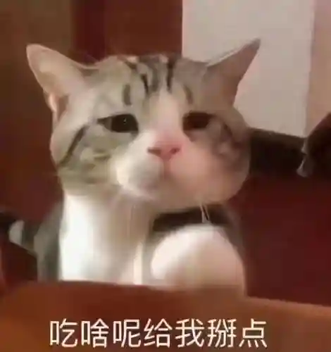 新版地下城手游(DNF手游林纳斯的金锭有什么用)