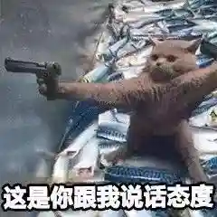 网上特别火的那个猫表情包(猫咪摇头表情包动图)插图24 网上特别火的那个猫表情包(猫咪摇头表情包动图)插图24