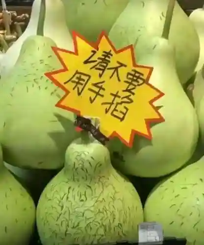 猜图片带答案大全(看图猜成语扫一扫图)插图64