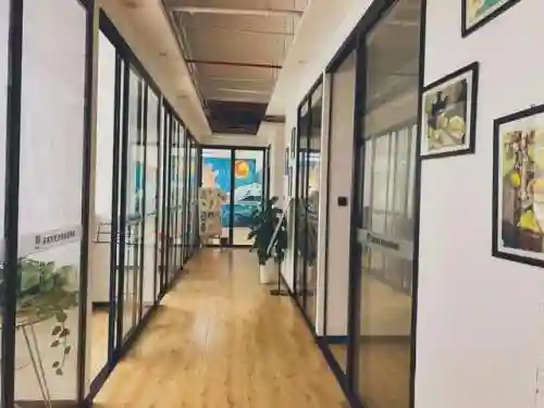 十大最难学的乐器(什么乐器可以参加艺考)插图21