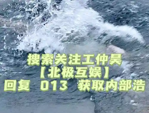 家园卫士平民玩家阵容搭配(我叫mt平民最强阵容)
