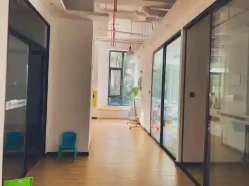十大最难学的乐器(什么乐器可以参加艺考)插图20